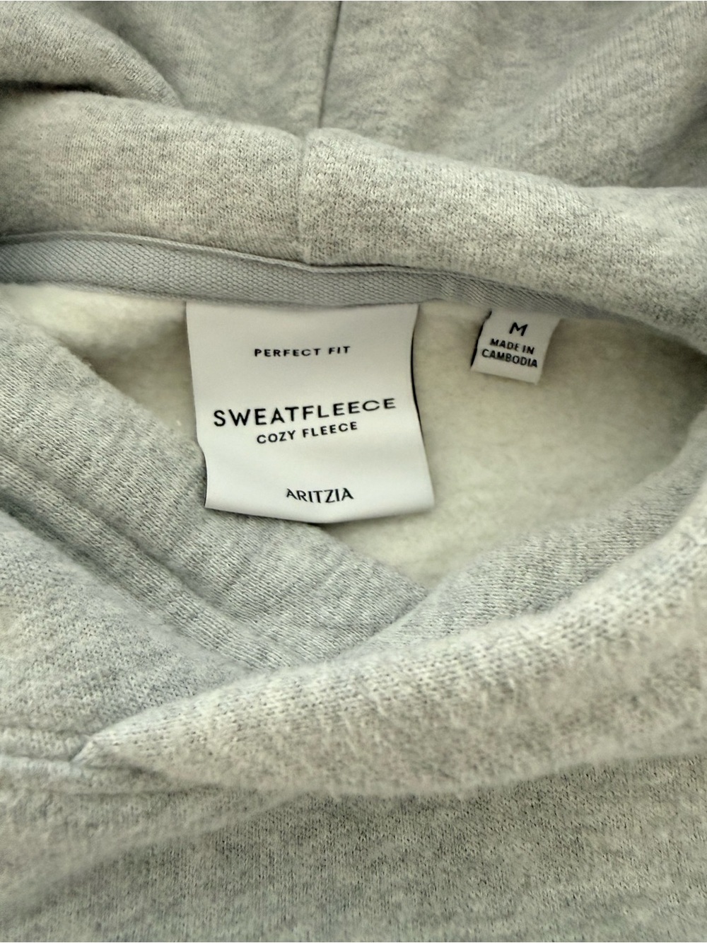 Aritzia Gray Hooded Sweatshirt - Picture 3 of 3